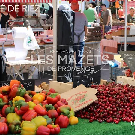 Mazet L'olivier شقة Saint-Martin-de-Brômes