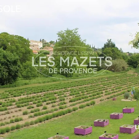 Mazet L'olivier *