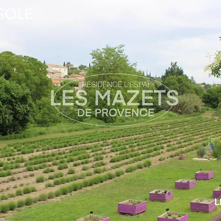 Mazet L'olivier *