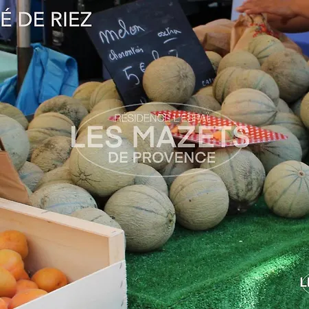 Mazet L'olivier Saint-Martin-de-Bromes