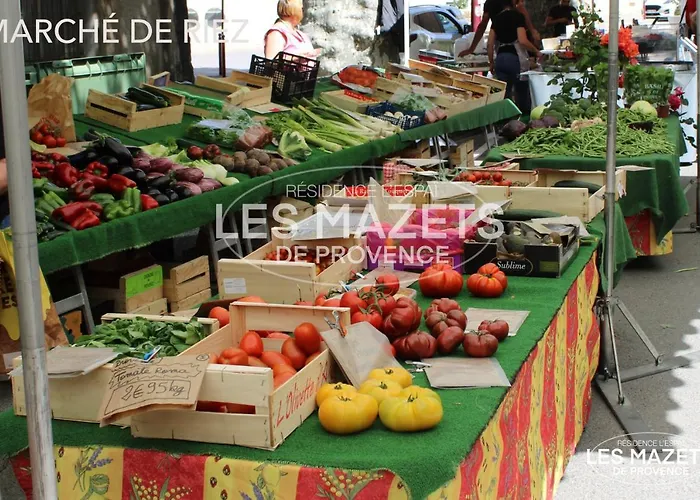 Mazet L'olivier Saint-Martin-de-Bromes